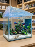 Premium 6-Gallon Mountain View Aquarium tank full setup with fish free home delivery