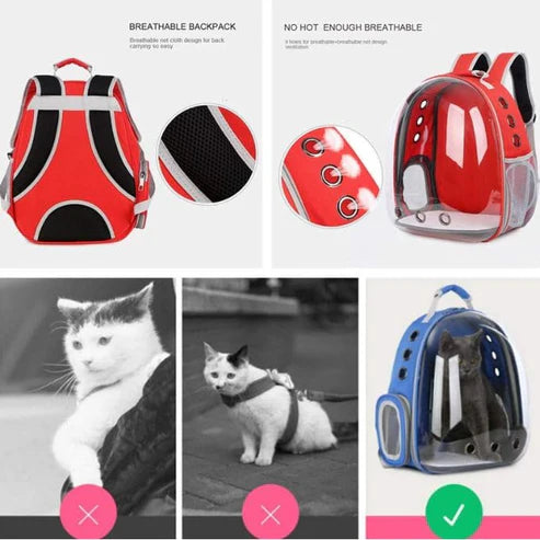 Pet Backpack Travel Carrier, Convenient Travel for Small Dog and Cat | Waterproof, Comfortable and Breathable